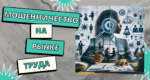 Мошенничество на рынке труда: как не стать жертвой